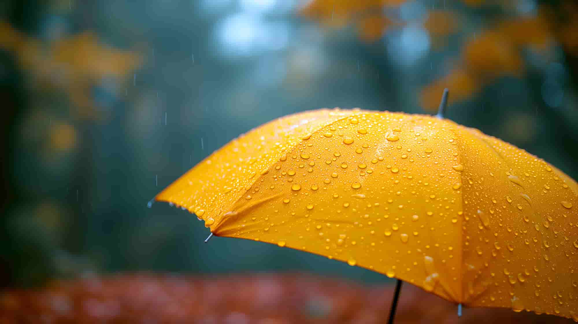 コンクリート　雨　業者